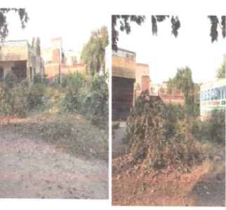 WINDHYA PHARMA 49243